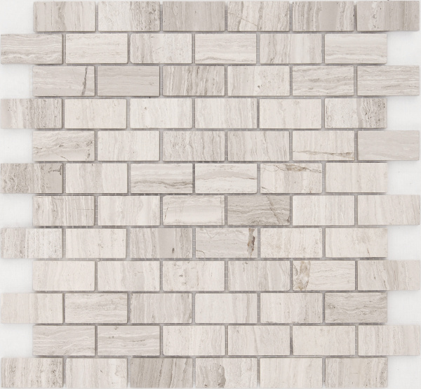 Travertino Silver POL 23x48x4