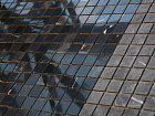 Nero Oriente POL 23x23x4
