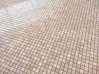 Crema Marfil POL 15x15x4