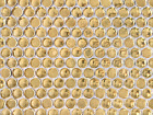 Tondi d'oro R21,5x6